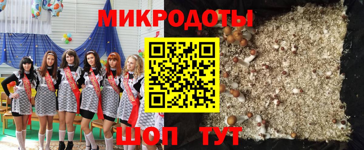 наркота  Галлюциногенные грибы мицелий  Вход с VPN  Галлюциногенные грибы Psilocybe  Мыски 