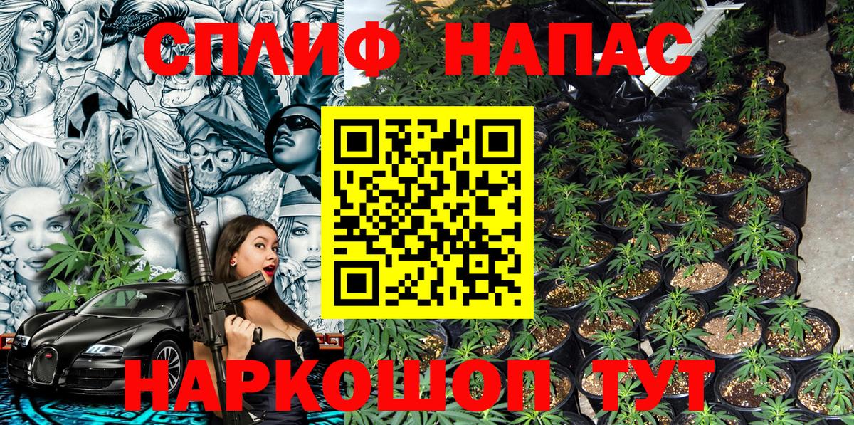 Канабис OG Kush Мыски
